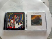 STING - 2 PŁYTY CD - NOWE , BEZ FOLII FABRYCZNEJ 