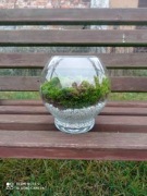 OZDOBY Z MCHU PODUSZKOWEGO 