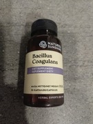 Bakterie Bacillus Coagulans na biegunkę probiotyk