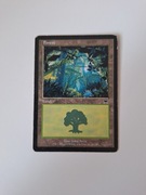 Forest (347) Onslaught MTG land