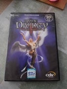 Gra "Divine Divinity" pc wersja pudełkowa, polska wersja 