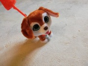 Pies na smyczy chodzi, zjada ciasteczka, robi kupy