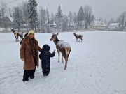 Płyta główna do kotłów gazowych Saunier Duvall ThemaClassic C 24 E