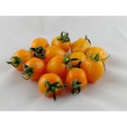 Nasiona Pomidor Chick F1. Mam też inne odmiany.