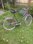 Rower miejski (Holenderka)
