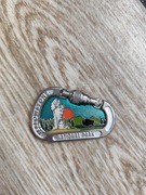 Magnes na lodówkę Yellowstone