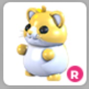 Pet w Adopt Me! Roblox