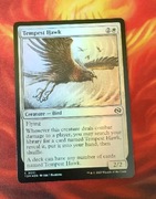 Tempest Hawk karta MTG Foil