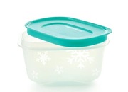 Tupperware pojemnik do mrożenia 170 ml. 
