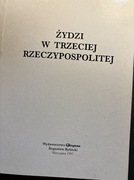 Żydzi w Trzeciej Rzeczypospolitej
