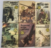 ŻÓŁTY TYGRYS - PAKIET 6 SZTUK nr 2
