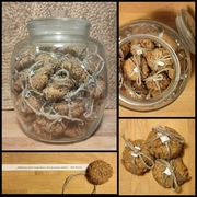 Ciastka z cytatami - Prezent dla nauczyciela