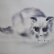 Rysunek kota za szkłem.