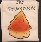 Koszulka agama od KajzerkaDesign