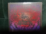 PRO8L3M - ART BRUT REMIXED - FOLIA