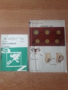 Zapłodnienie i ciąża - foliogram