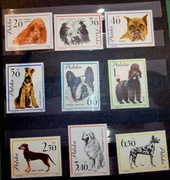Znaczki pocztowe Psy 1226-1234