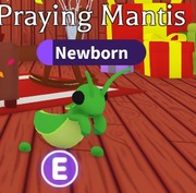 Praying Mantis! |NAJTANIEJ SZYBKO DUŻO POLECEŃ!|Adopt Me|Roblox