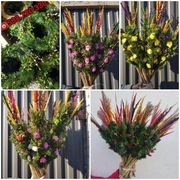 palmy żywe, palmy Wielkanocne - HURT - min.30szt! PRODUCENT