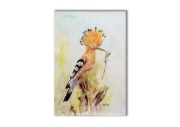 Akwarela ręcznie malowana  "Dudek" ptaki + rama