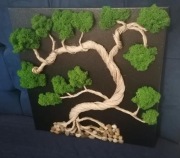 Drzewko bonsai z mchu alpejskiego