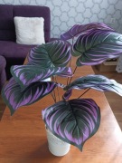 Egzotyczny sztuczny kwiat w doniczce 