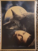 Plakat Teen Wolf Nastoletni Wilkołak A3 30x42