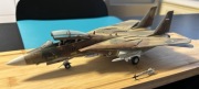 F-14 w barwach Iranu (lataja do dziś)