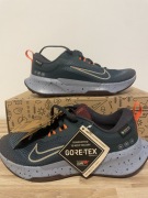 Buty do biegania Nike trail 2 GTX V 2
