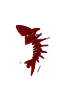 Rekin Transparent red