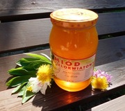 Polski miód wielokwiatowy wiosna 2025 dzieci alergie witaminy 1300g