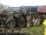 Topola konary, 10 m3