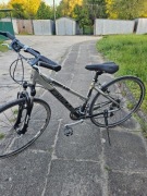 Rower Bulls Comp 4.5