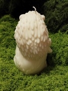 Nowe podróżne etui na biżuterię 