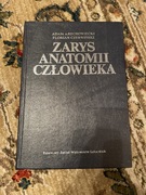 Zarys anatomii człowieka