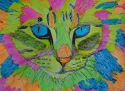 Niebieskooki,akwarela i tusz