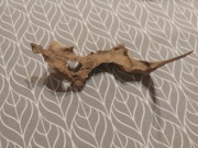 Korzeń do akwarium/terrarium