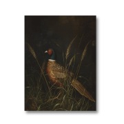 Bażant w XVIII-wiecznym stylu, Naturalistyczny Plakat 30x40cm