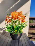 Storczyk jak żywy,Super jakość,Kompozycja ze storczyków,Pomysł na prezent