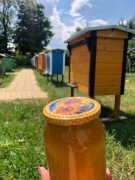 MIÓD RZEPAKOWY WIELOKWIAT