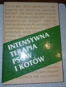 Intensywna terapia psów i kotów