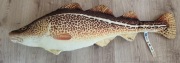 Maskotka Poduszka GABY. Ryba DORSZ. 72 cm.