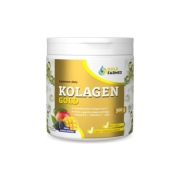KOLAGEN GOLD 300g mango-jeżyna GoldFarmex