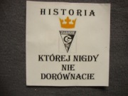 Vlepki Górnik Zabrze #24