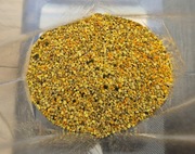 Pyłek Pszczeli 1 kg