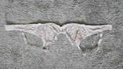 Biuston9sz C&A 80C