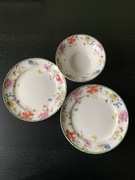 Talerzyki i miseczka Wild Garden