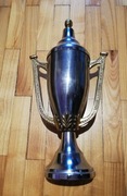 puchar sportowy 