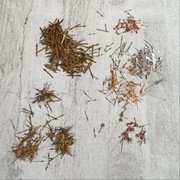 Wskazówki do zegarków naręcznych zestaw Vintage 