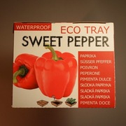 Minizestaw do uprawy roślin - Papryka czerwona
